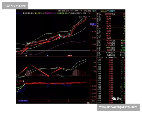 光电靶具研发企业股价飙升 体育科技板块吸引投资者热捧